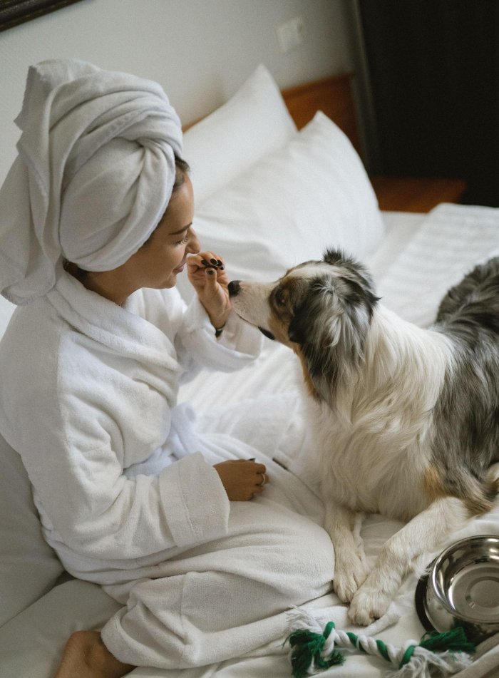 Роскачество вручило первым отелям в России сертификаты petfriendly, 10.03.2025